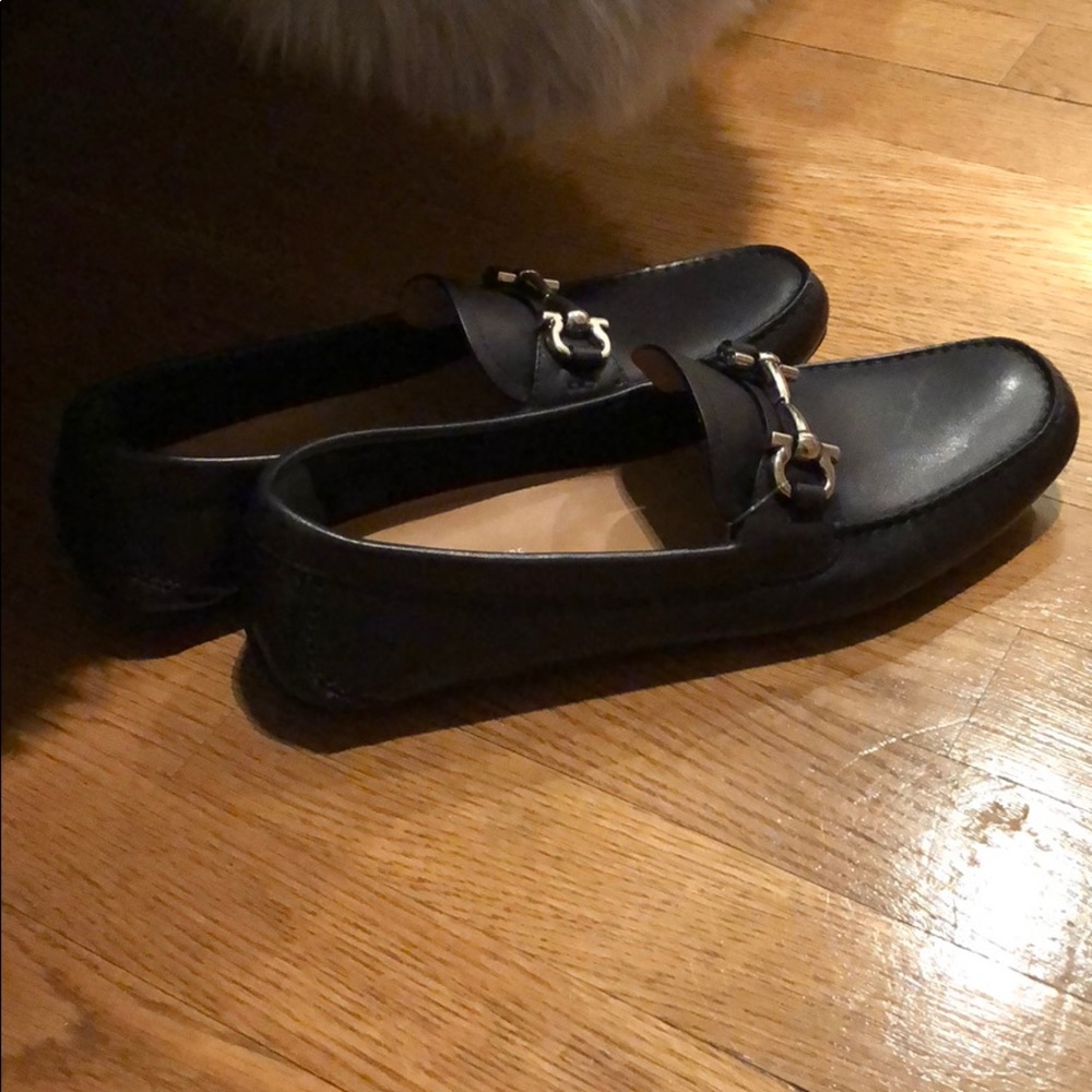 Stunning Ferragamo Flats -New With Tags - Picture 8 of 8